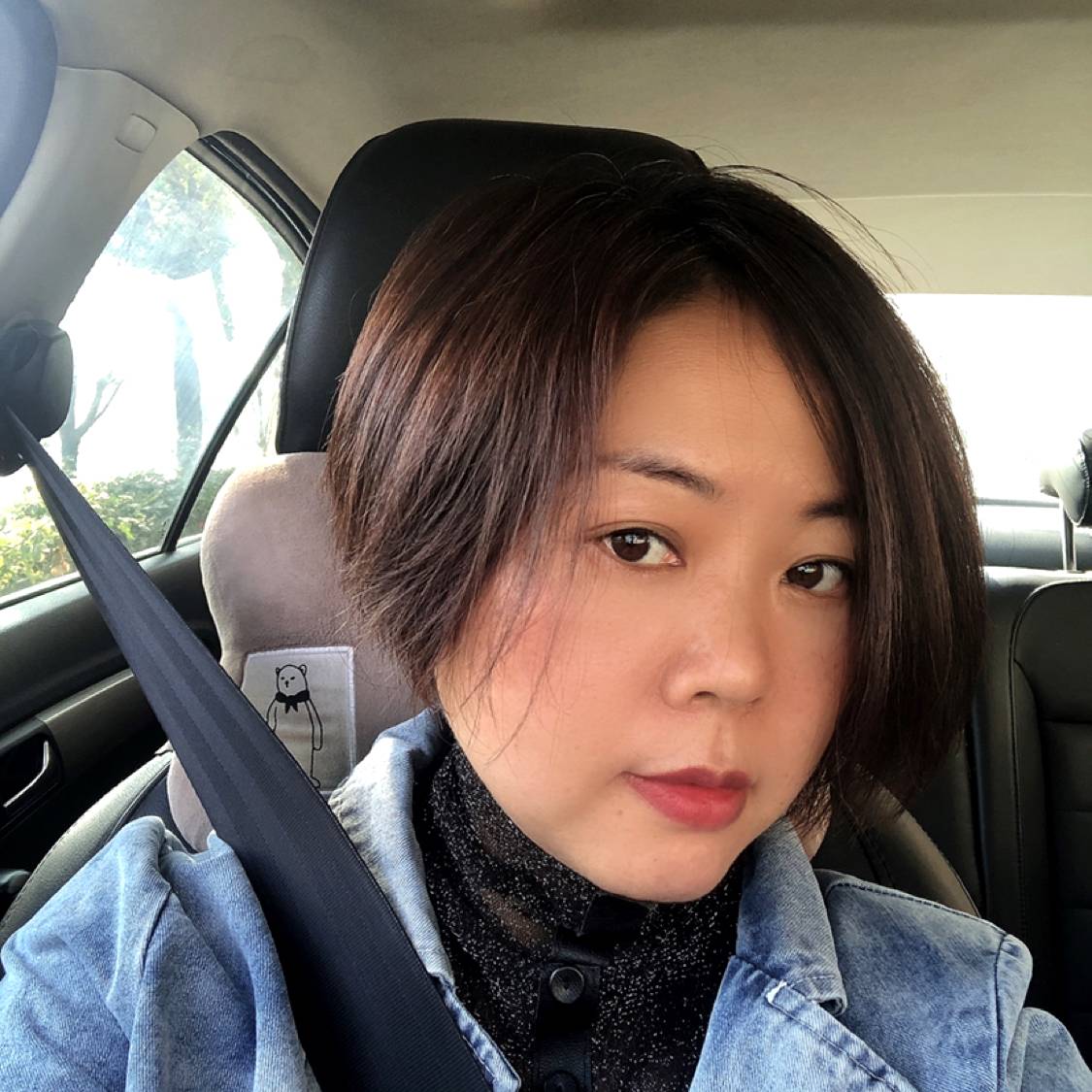 玩命凝眸仙人掌的照片