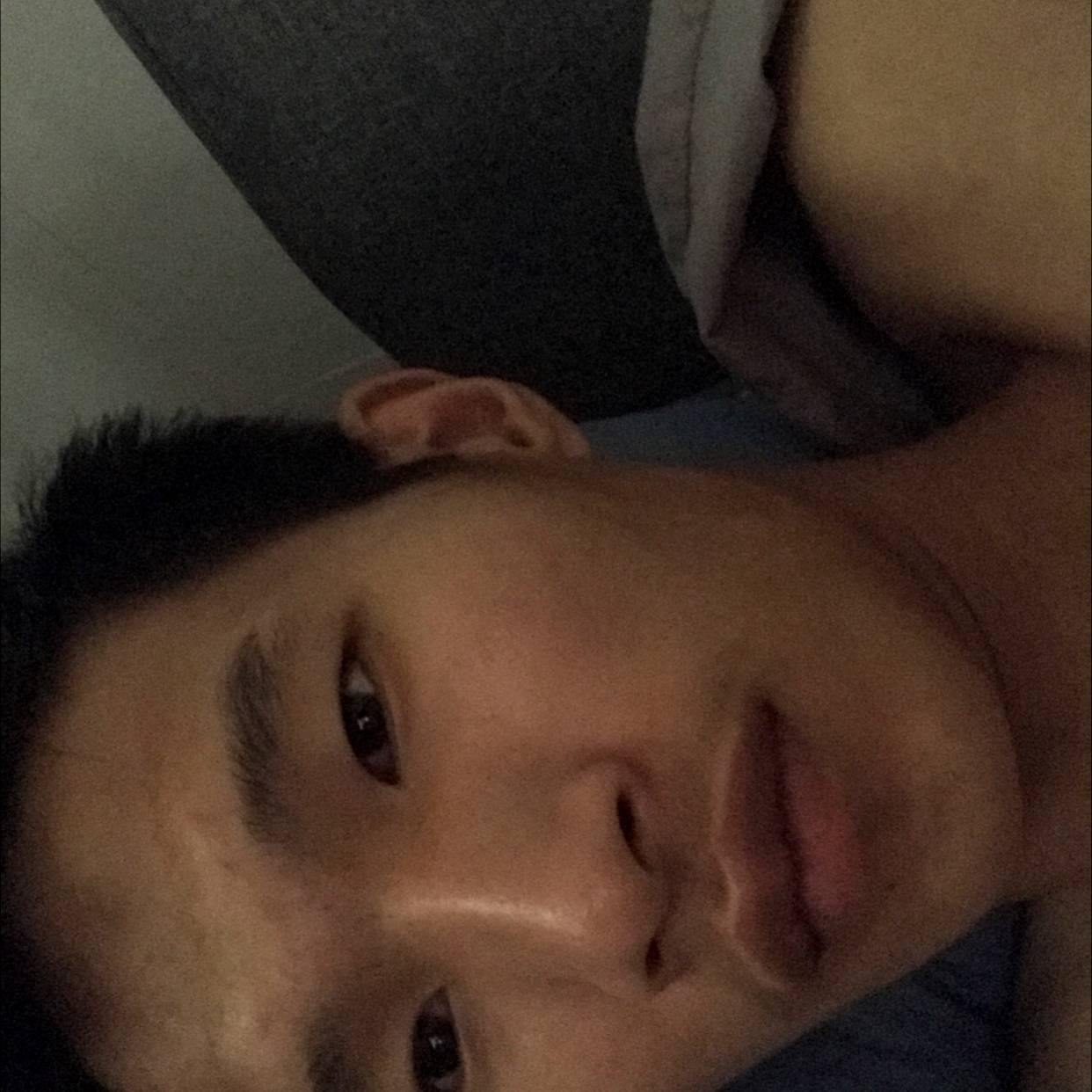 烂漫倾心狗的照片