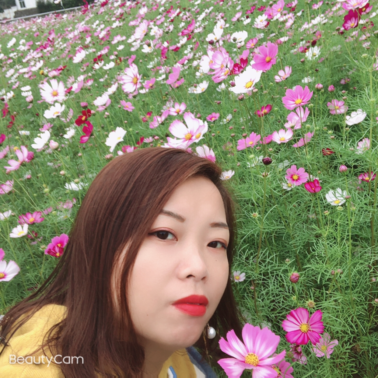 俊秀拾忆月亮的照片
