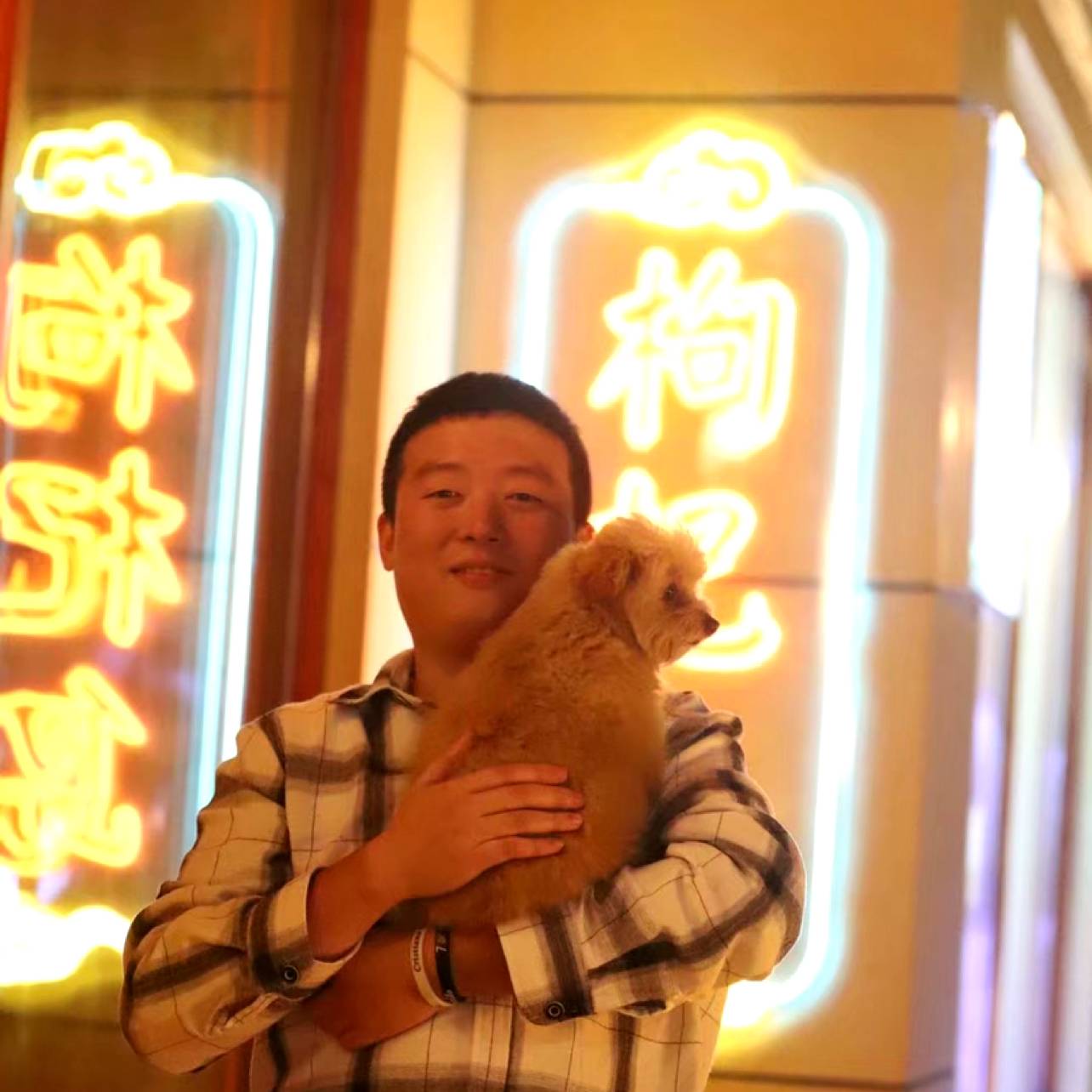 奔跑的泰克的照片