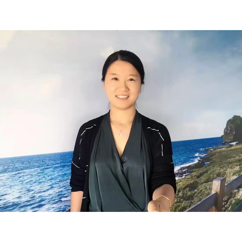 一片叶子的故事的照片