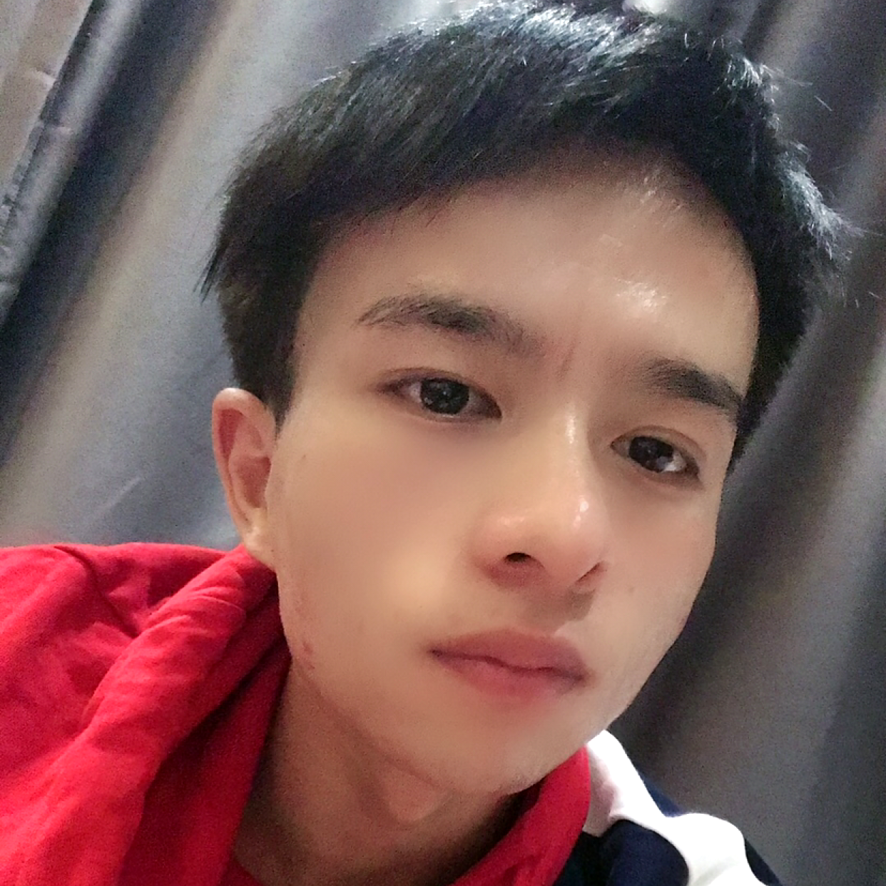 猫咪英勇的照片