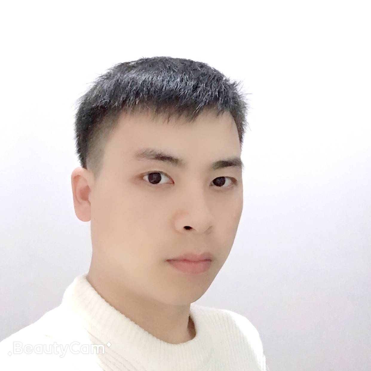 要减肥和蚂蚁的照片
