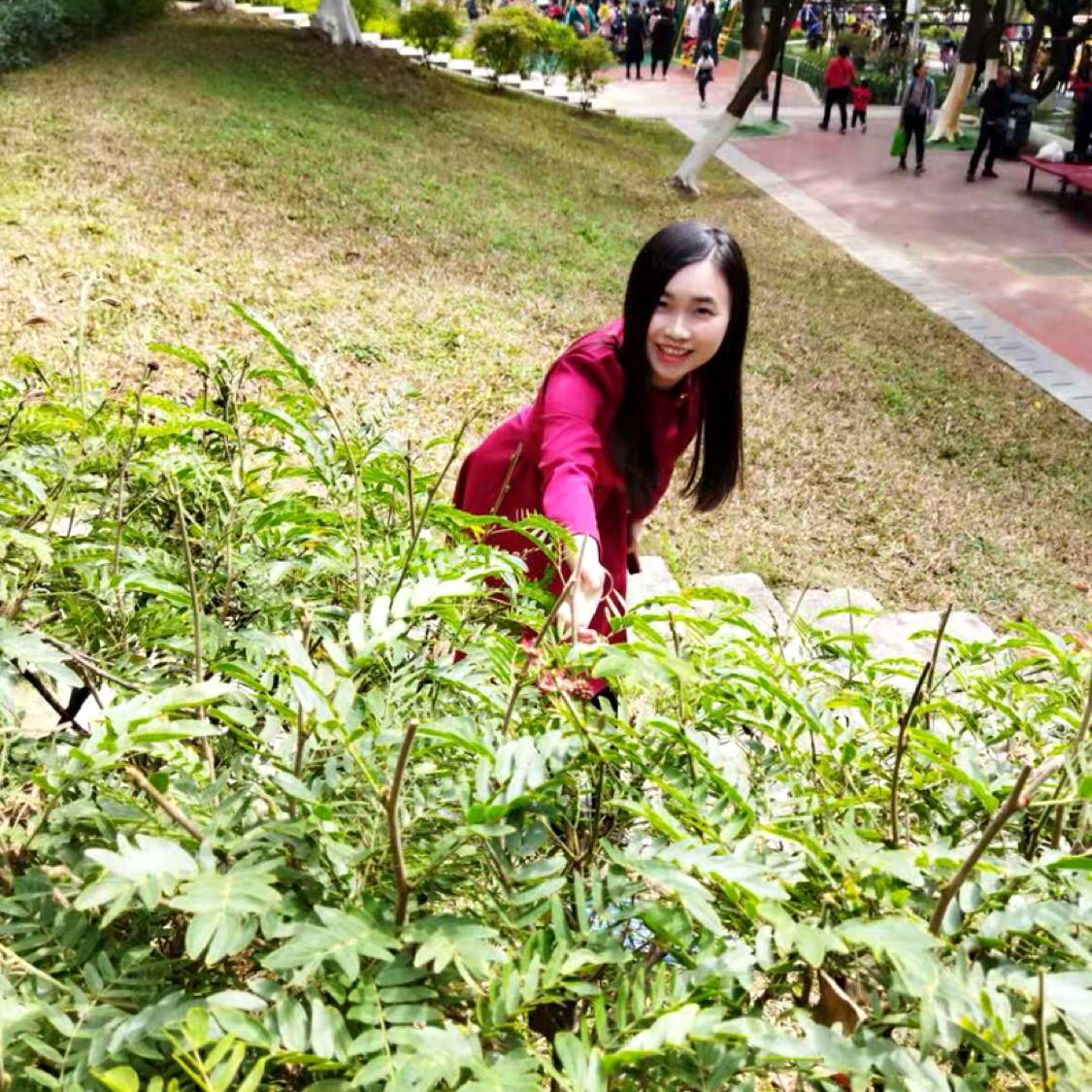 鸵鸟泪了文静的照片