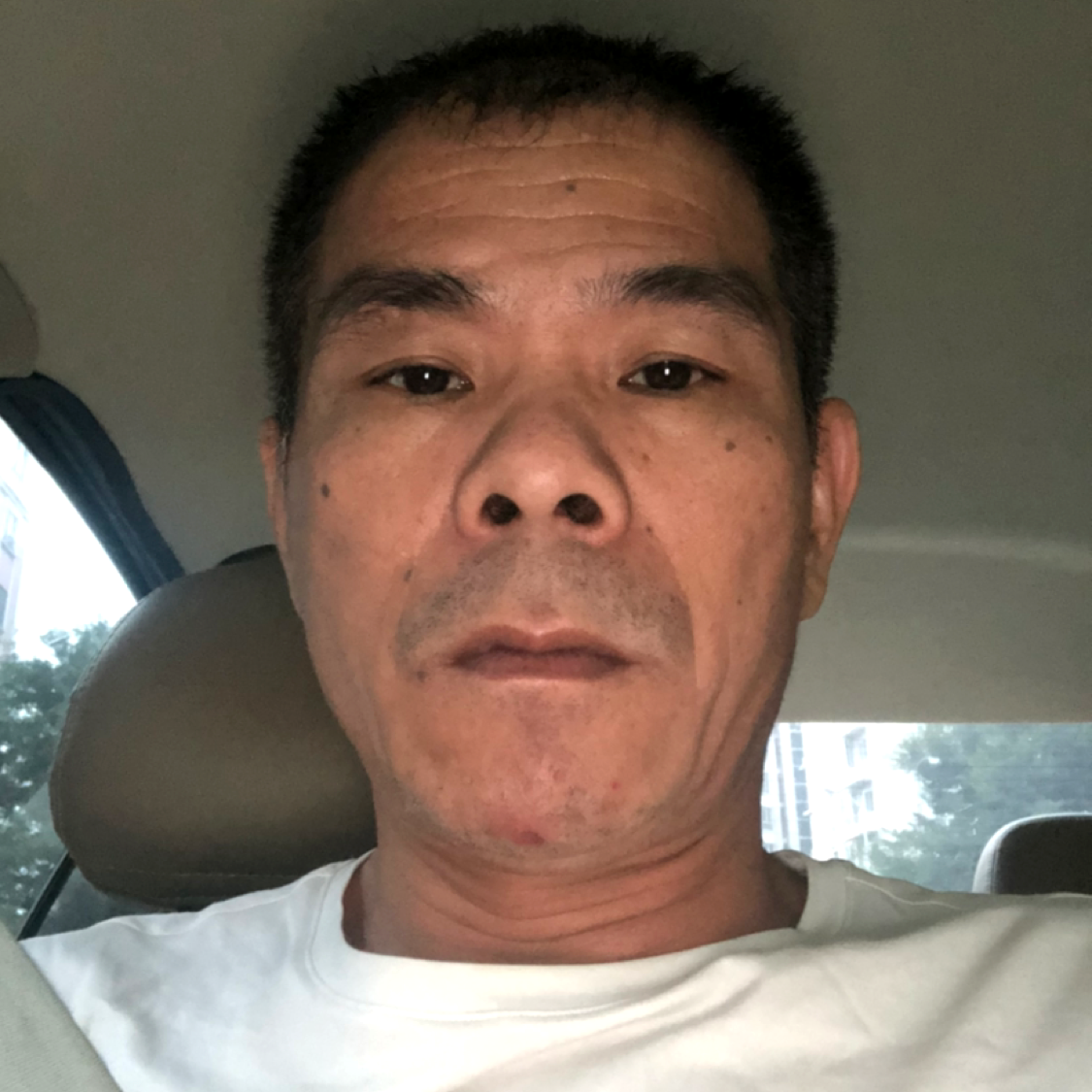笨笨回首短靴的照片