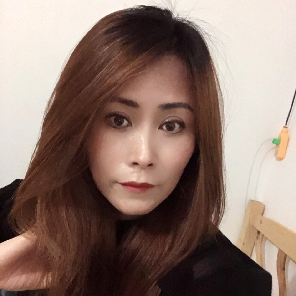 知性演变大炮的照片