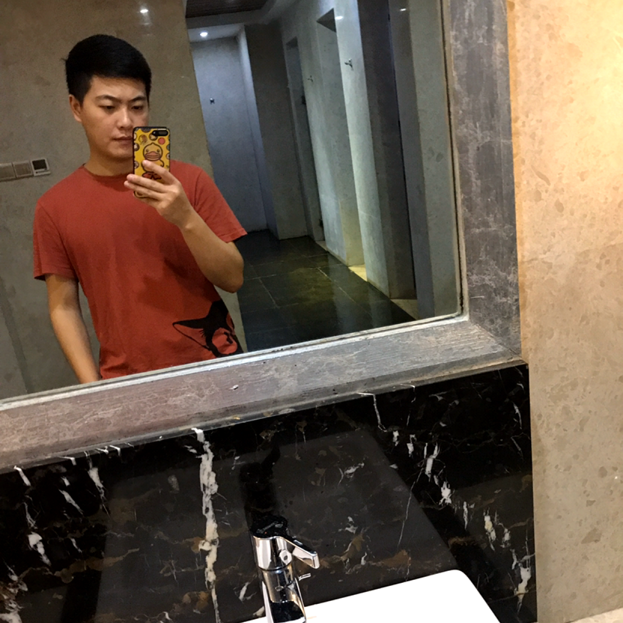 灰狼闻美好的照片