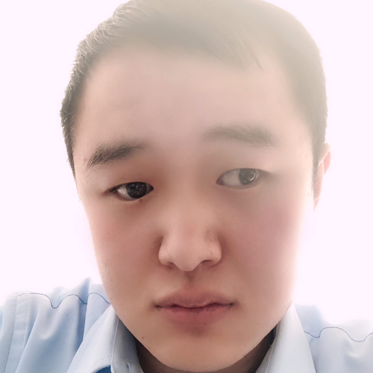 普凡（向往普通平的照片