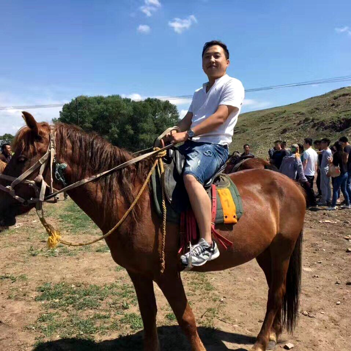 康乃馨苦恋大气的照片