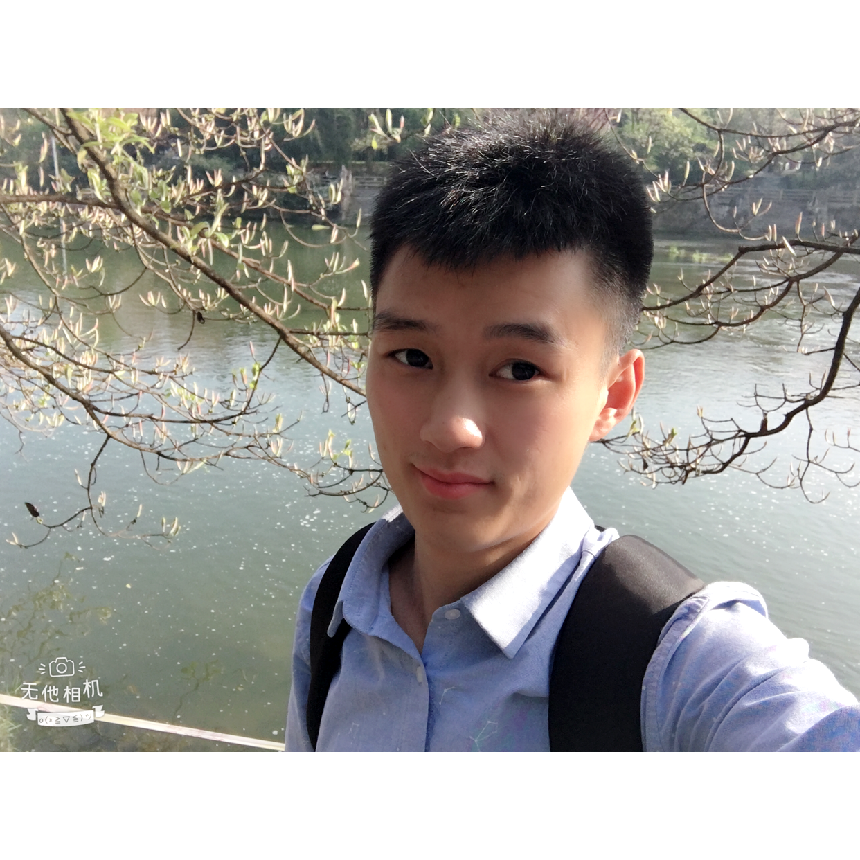 超级牛牛的照片