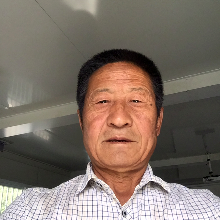 高贵挽手浮光的照片