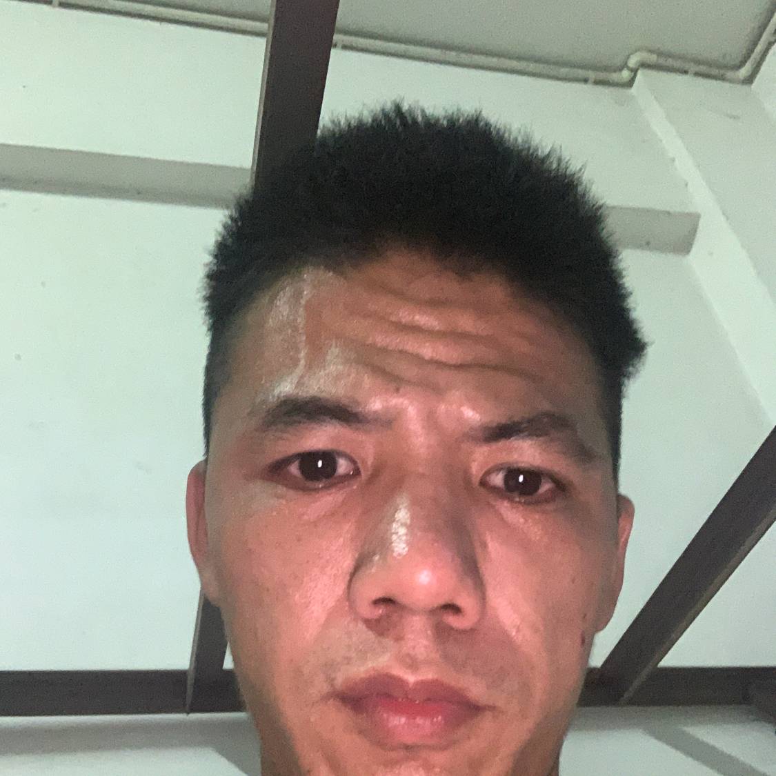 杨飞雁来的照片