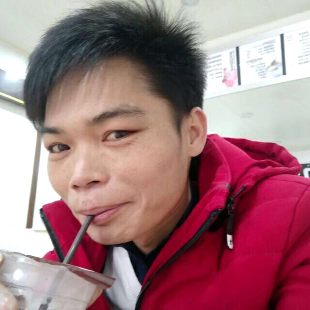 温柔漫步小天鹅的照片