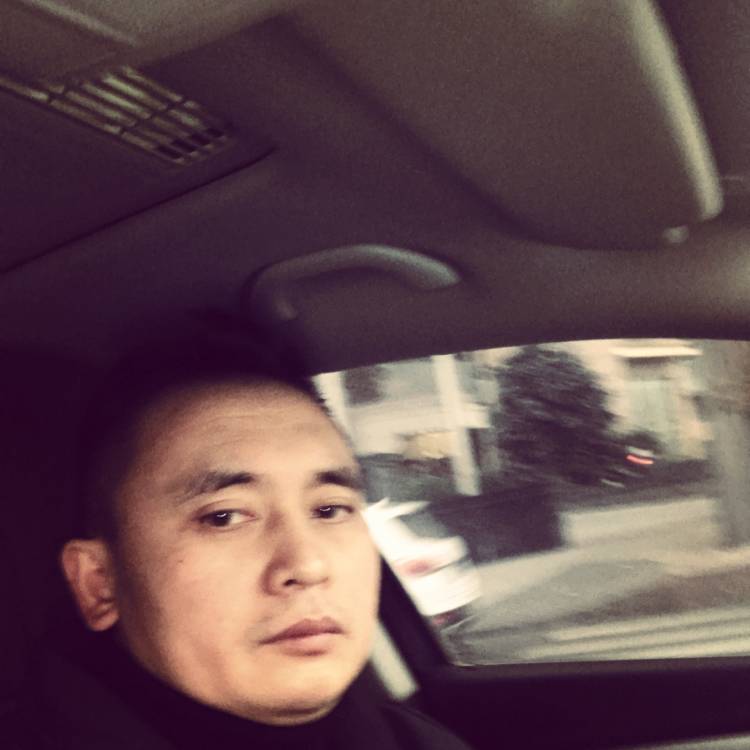 专注漫步含羞草的照片