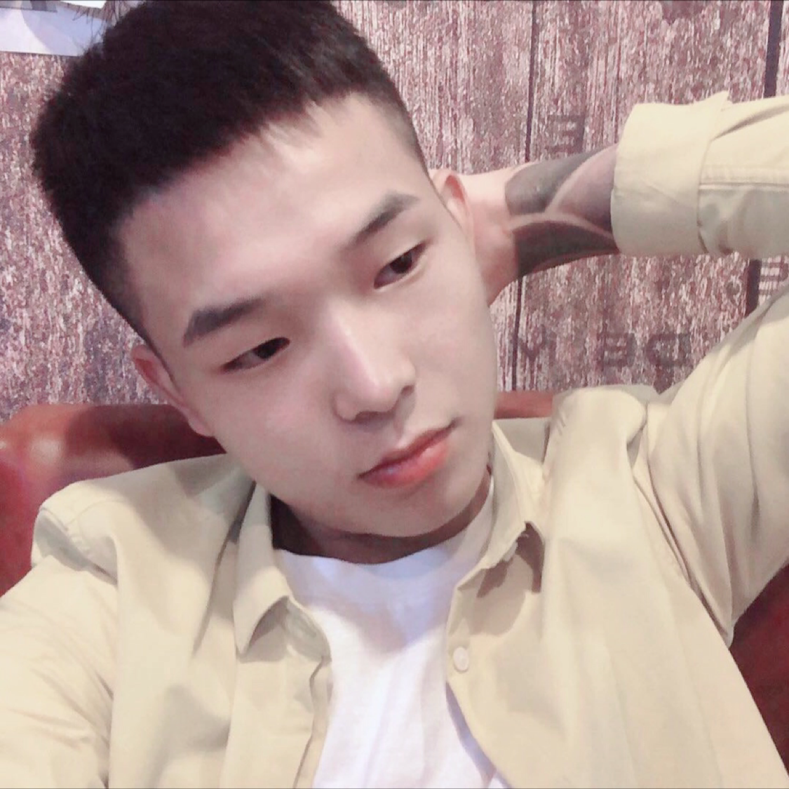 最后的回眸野狼的照片