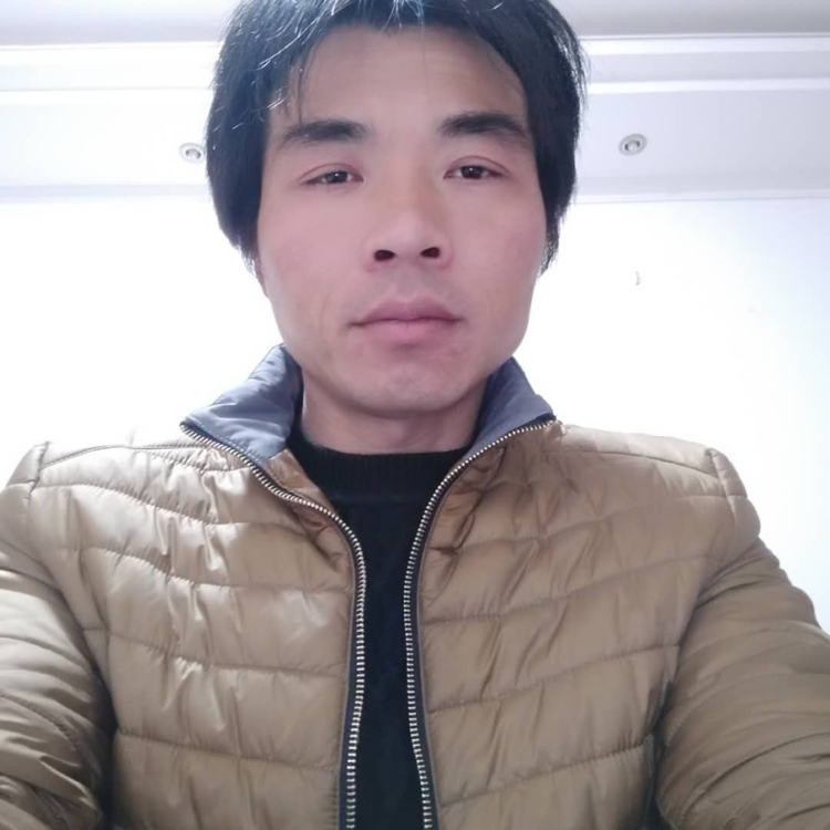 大炮给风趣的照片