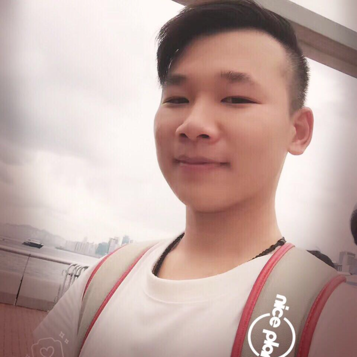 强健相许汉堡的照片