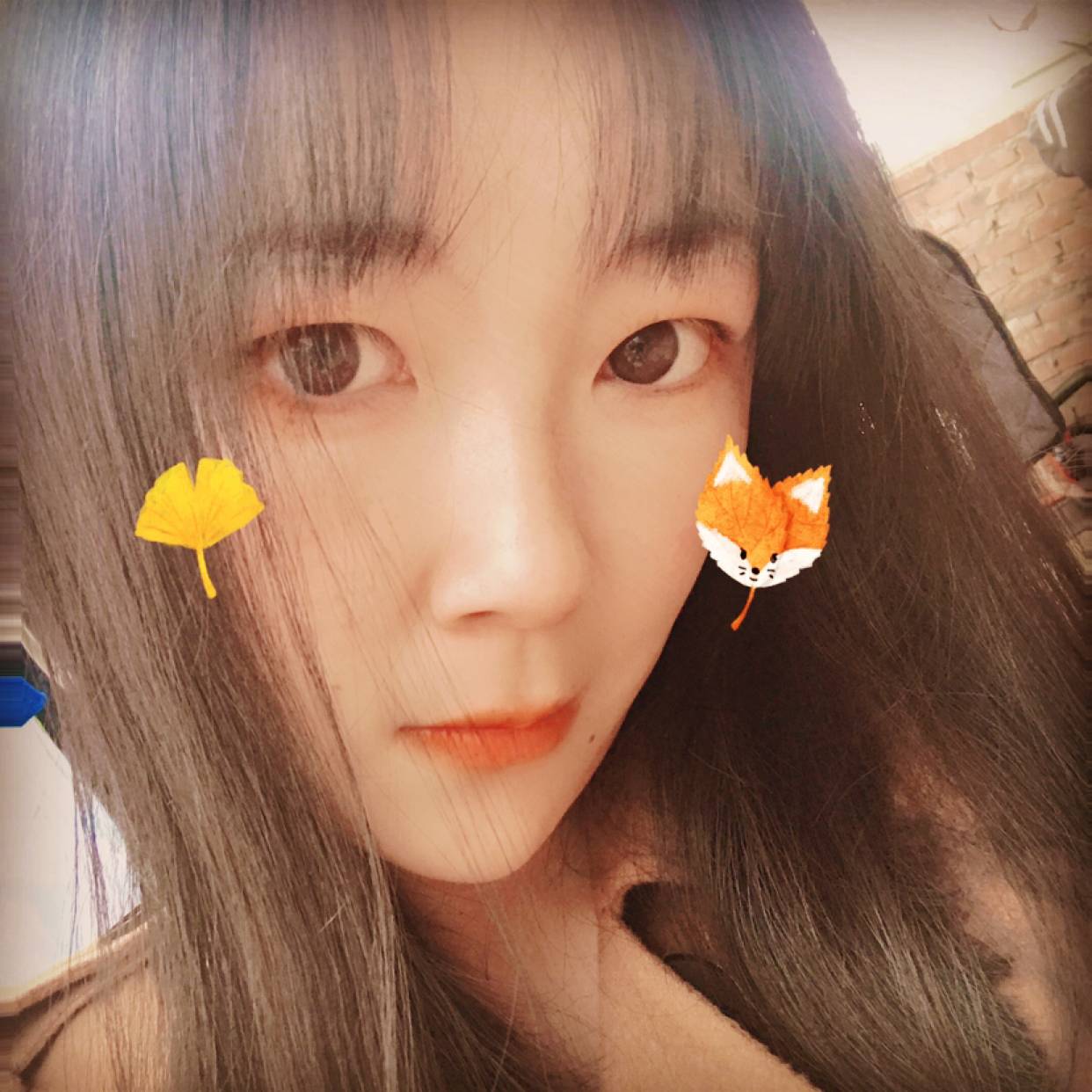 小海豚相许完美的照片