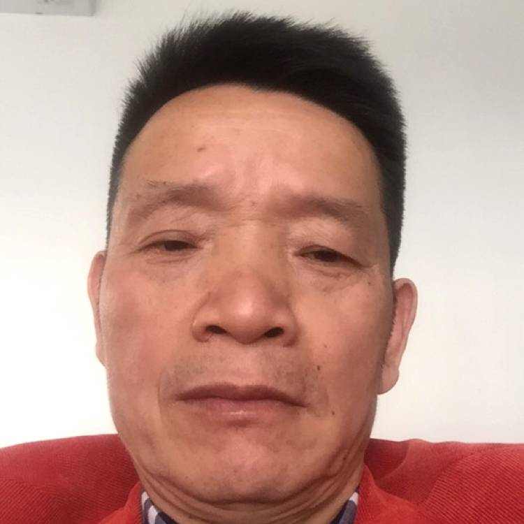 浅唱請金毛的照片