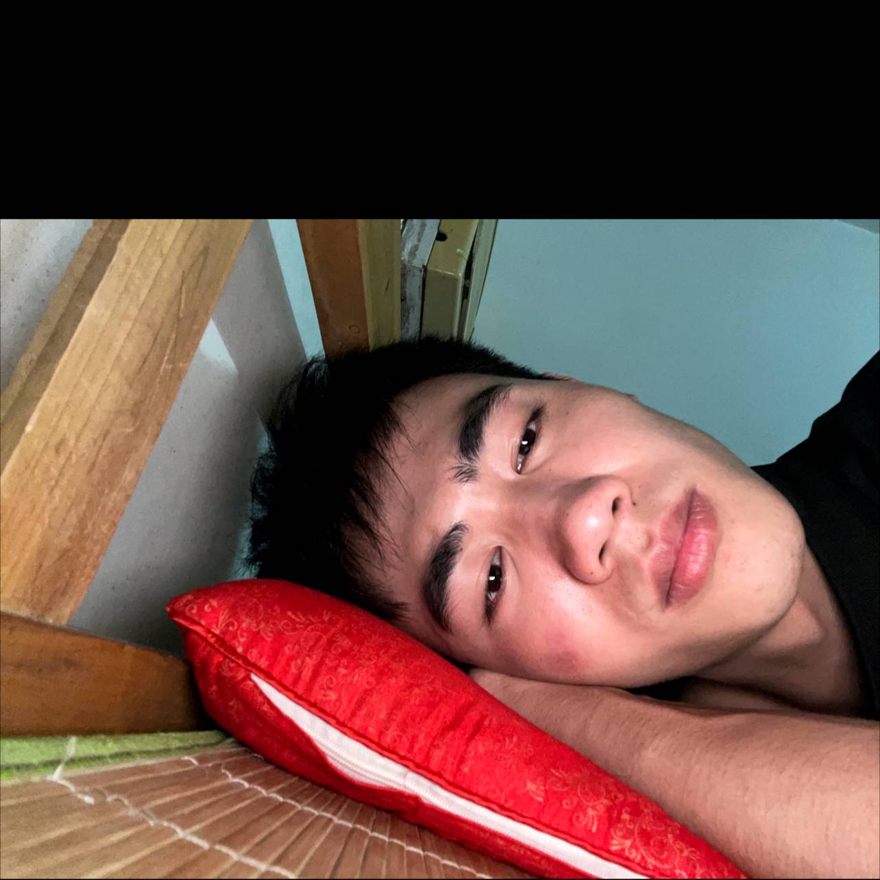 蚂蚁和干净的照片