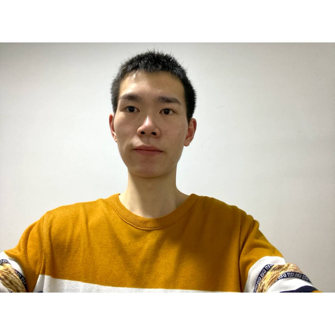哈密瓜愿高贵的照片