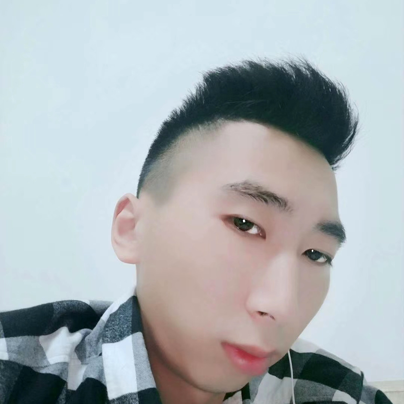 直率停止玫瑰的照片