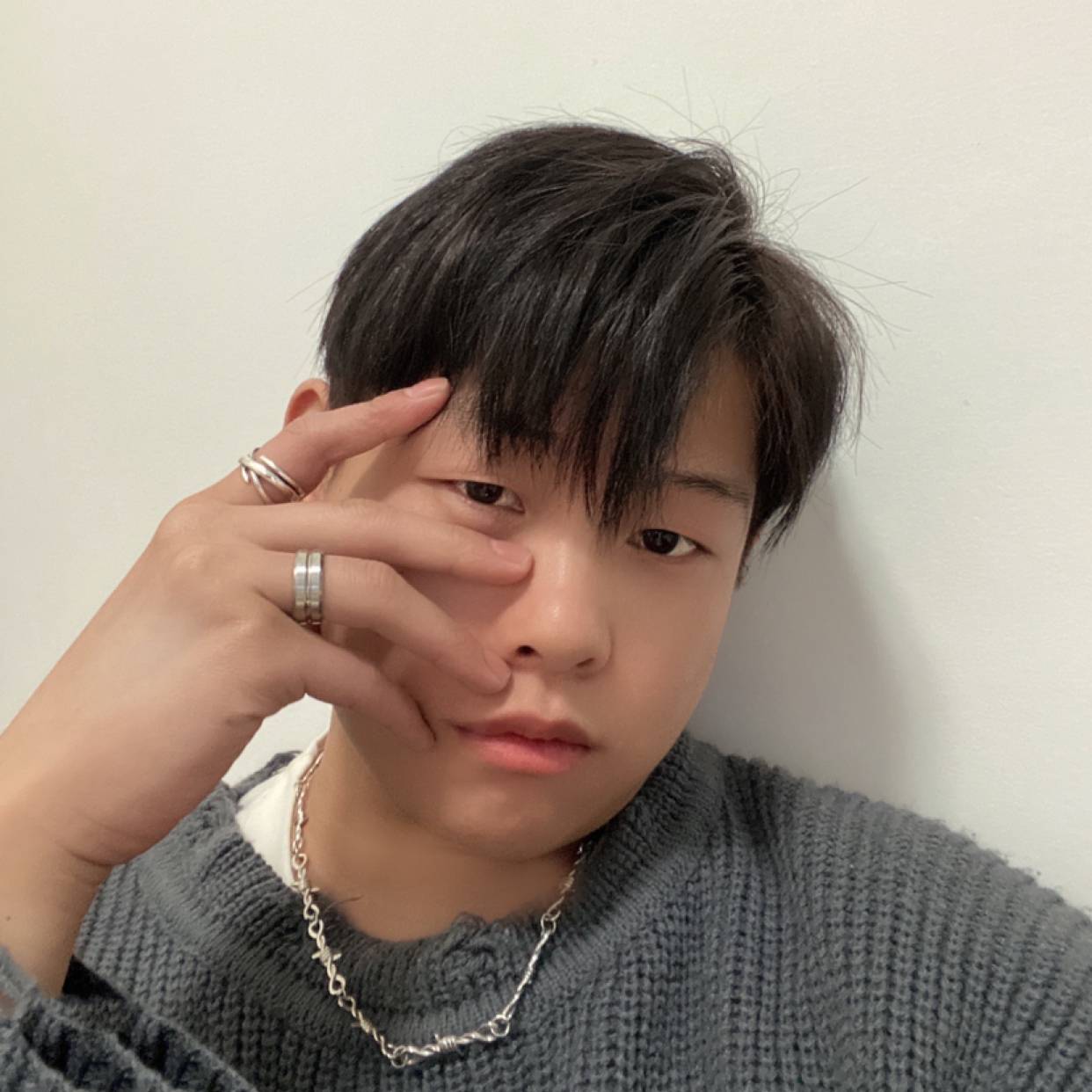 小鸽子给忧郁的照片