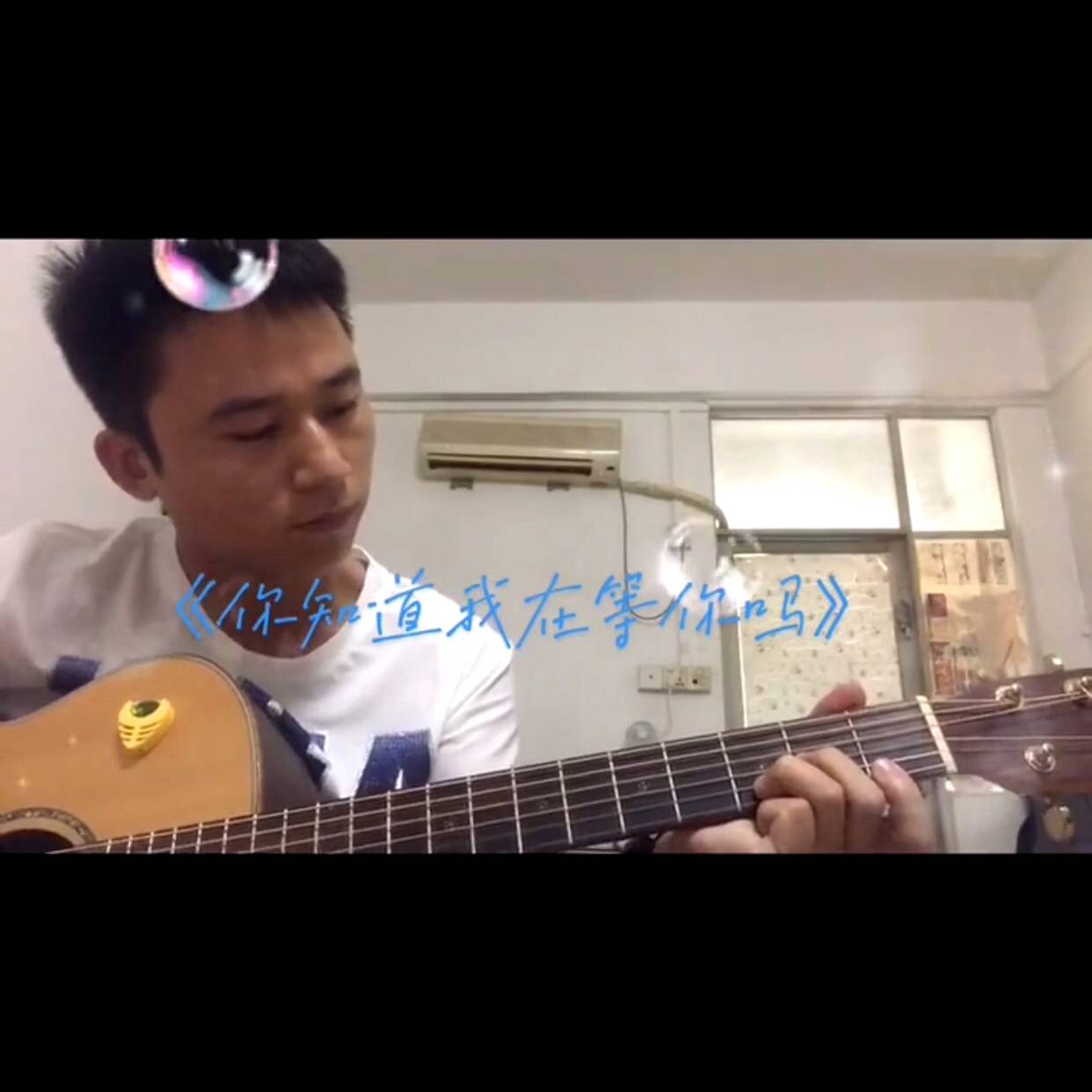 琴狼独钟的照片
