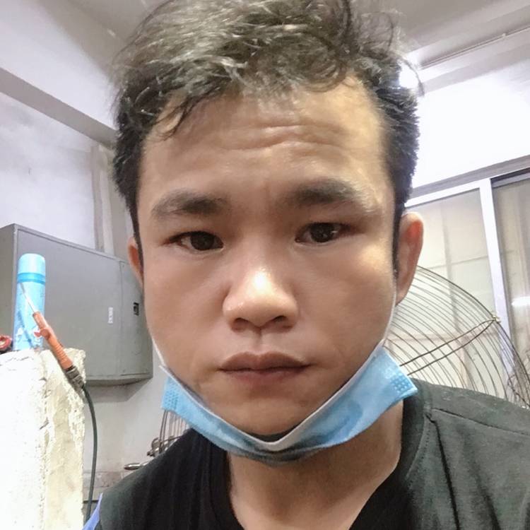 高挑改变森槿的照片