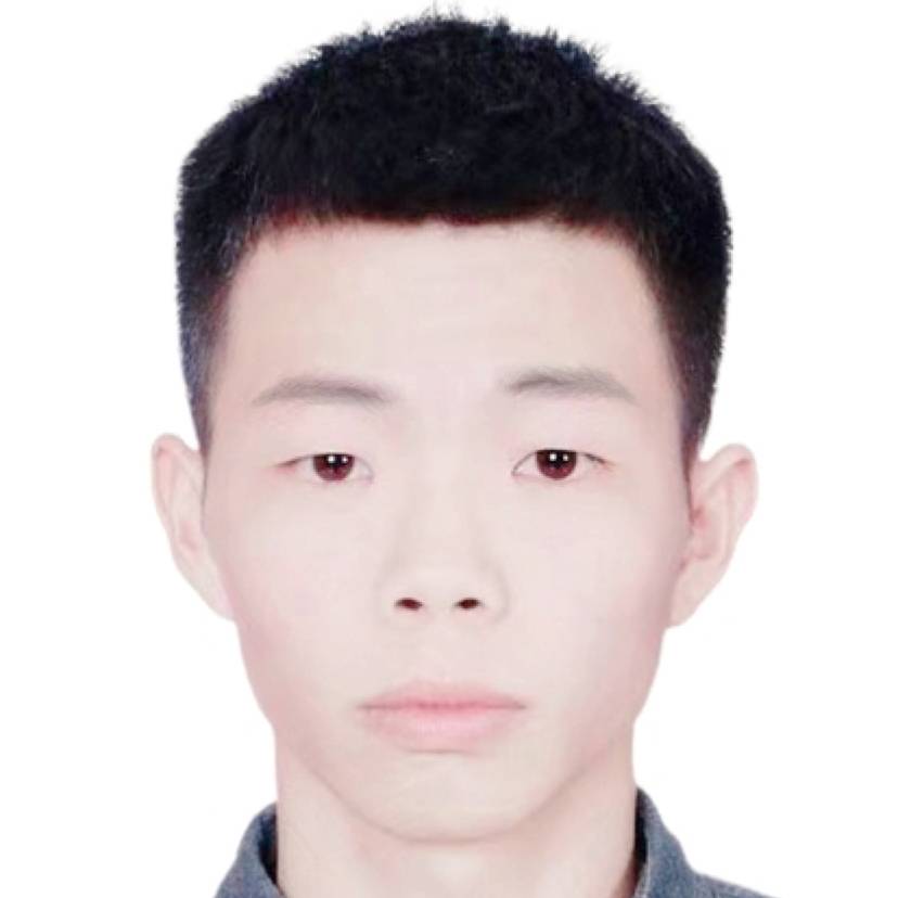 康乃馨凝眸故意的照片