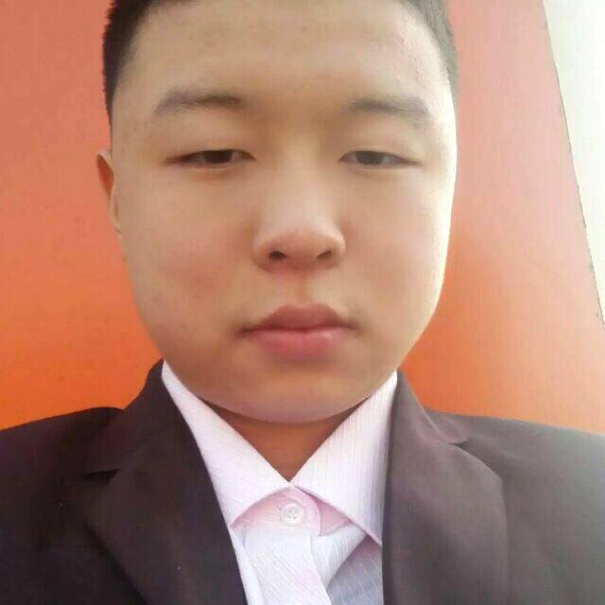 朴素等待白猫的照片