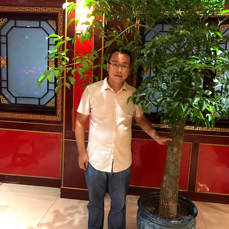 相信明天为了更好的照片