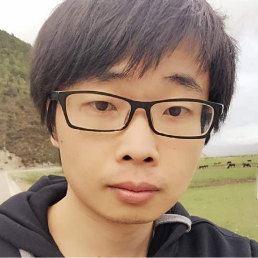 冷傲小猫的照片