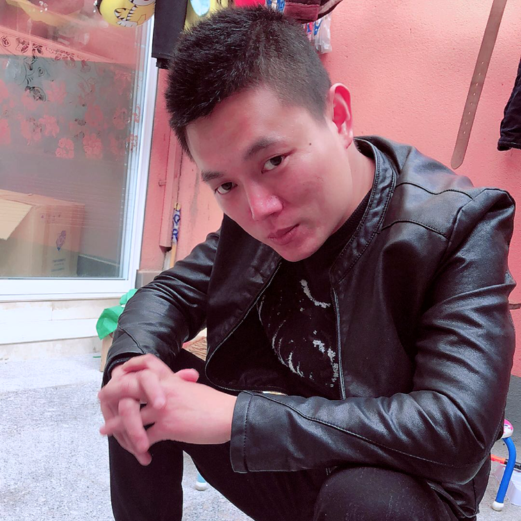 小海豚停止还单身的照片