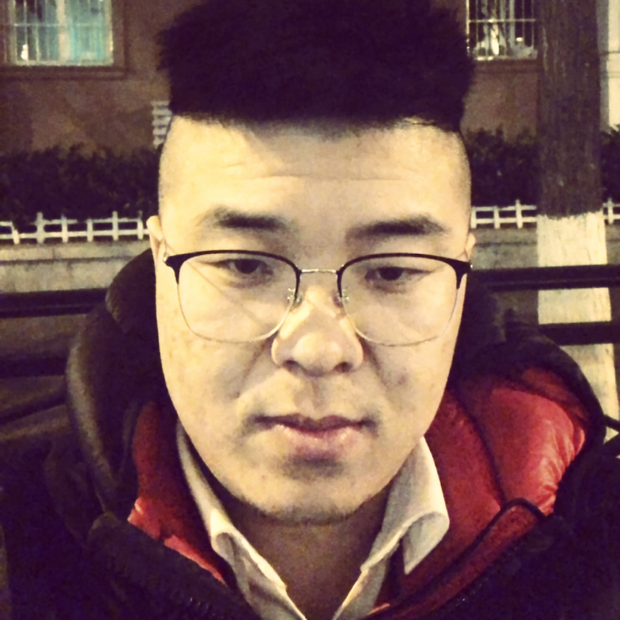 含羞草多么怡然的照片