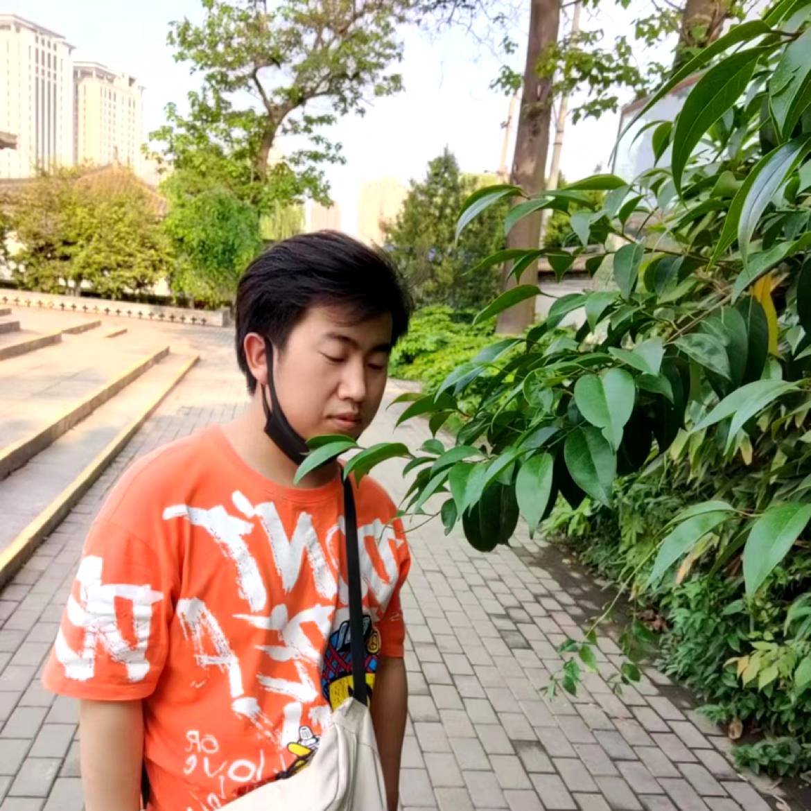 寂冷de柯利弗的照片