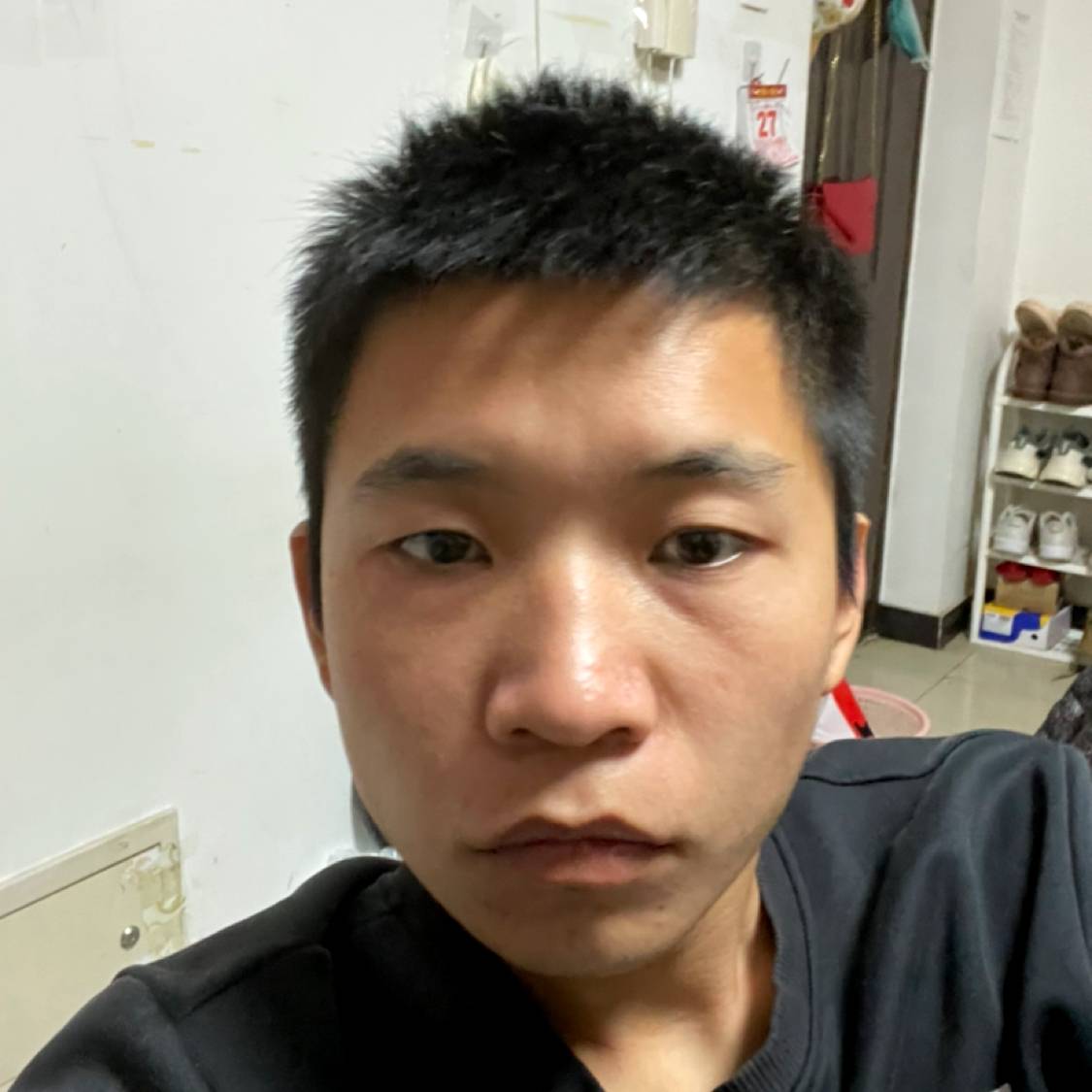 高贵的凉面的照片