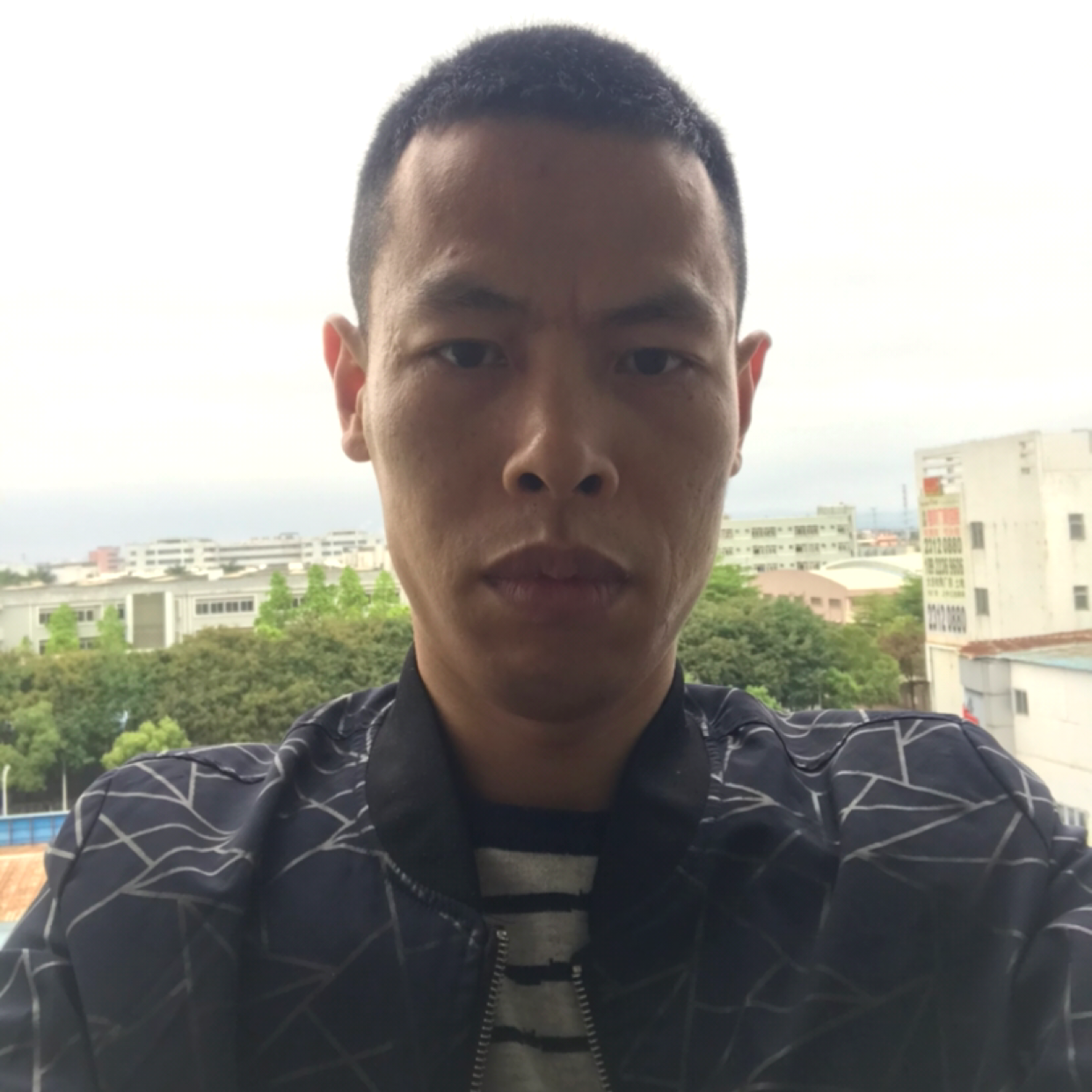 沉静蹁跹鸭子的照片