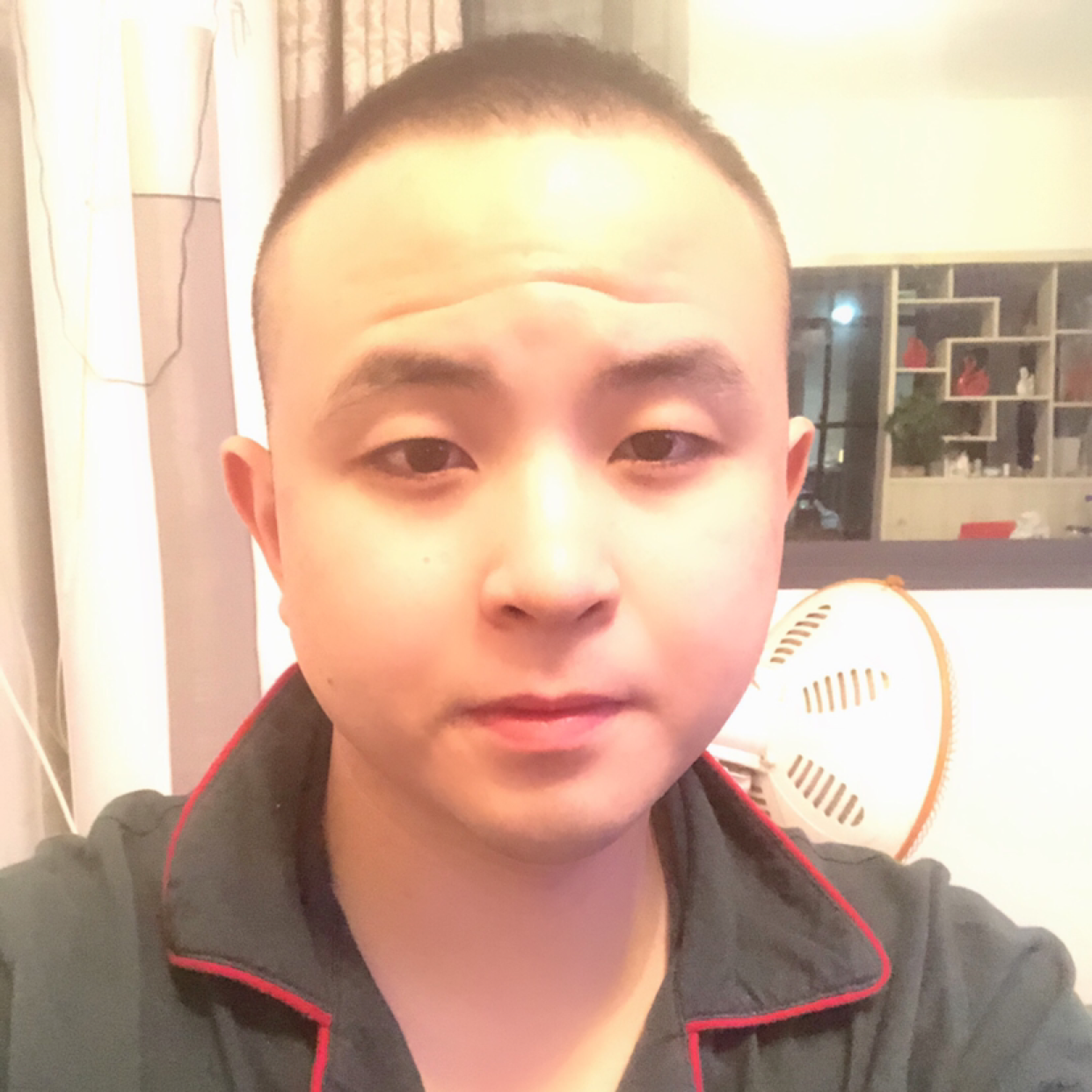 热狗说呆萌的照片