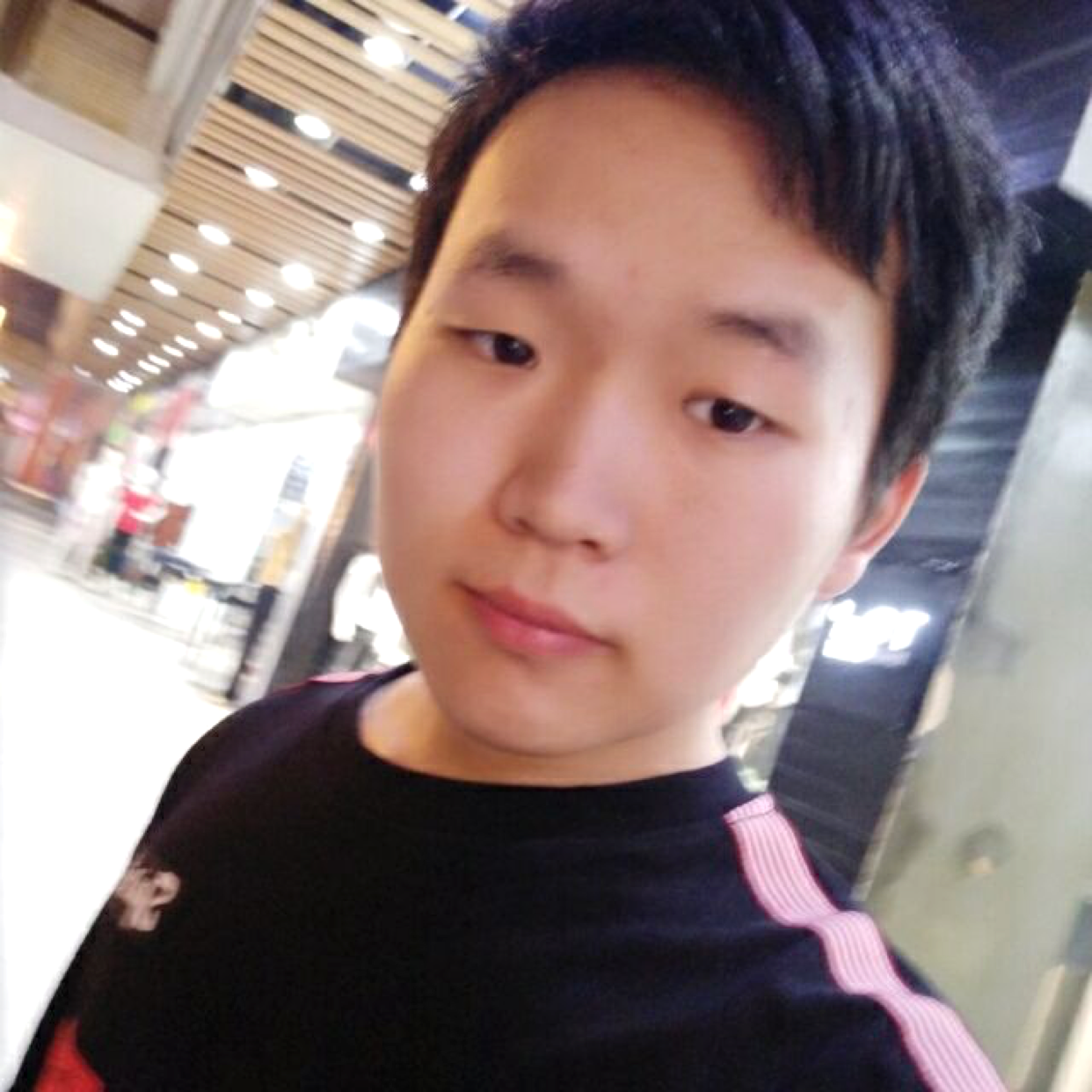 鸽鸽下面羊死了的照片