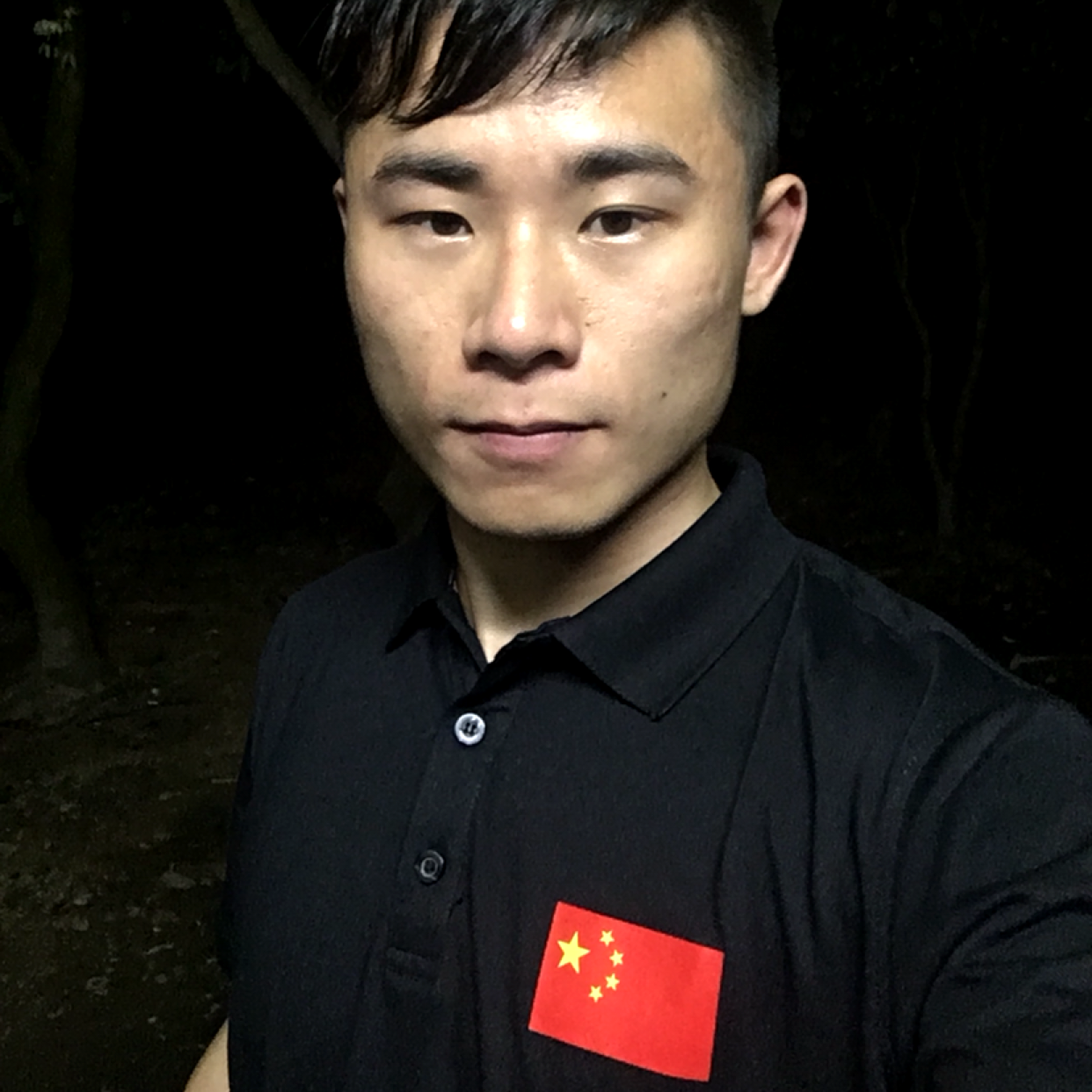 哑铃飞鸟的照片