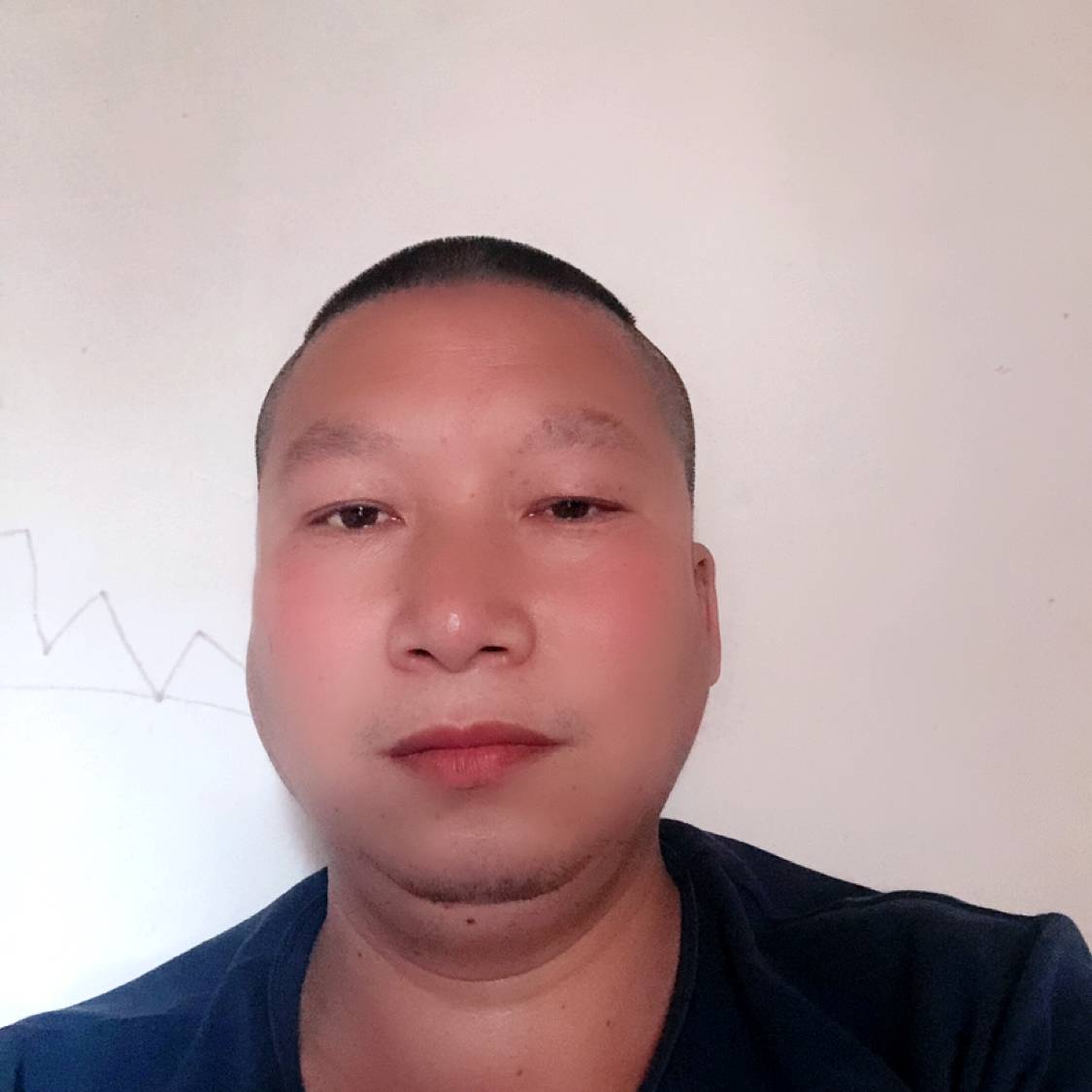拼搏回眸鸵鸟的照片