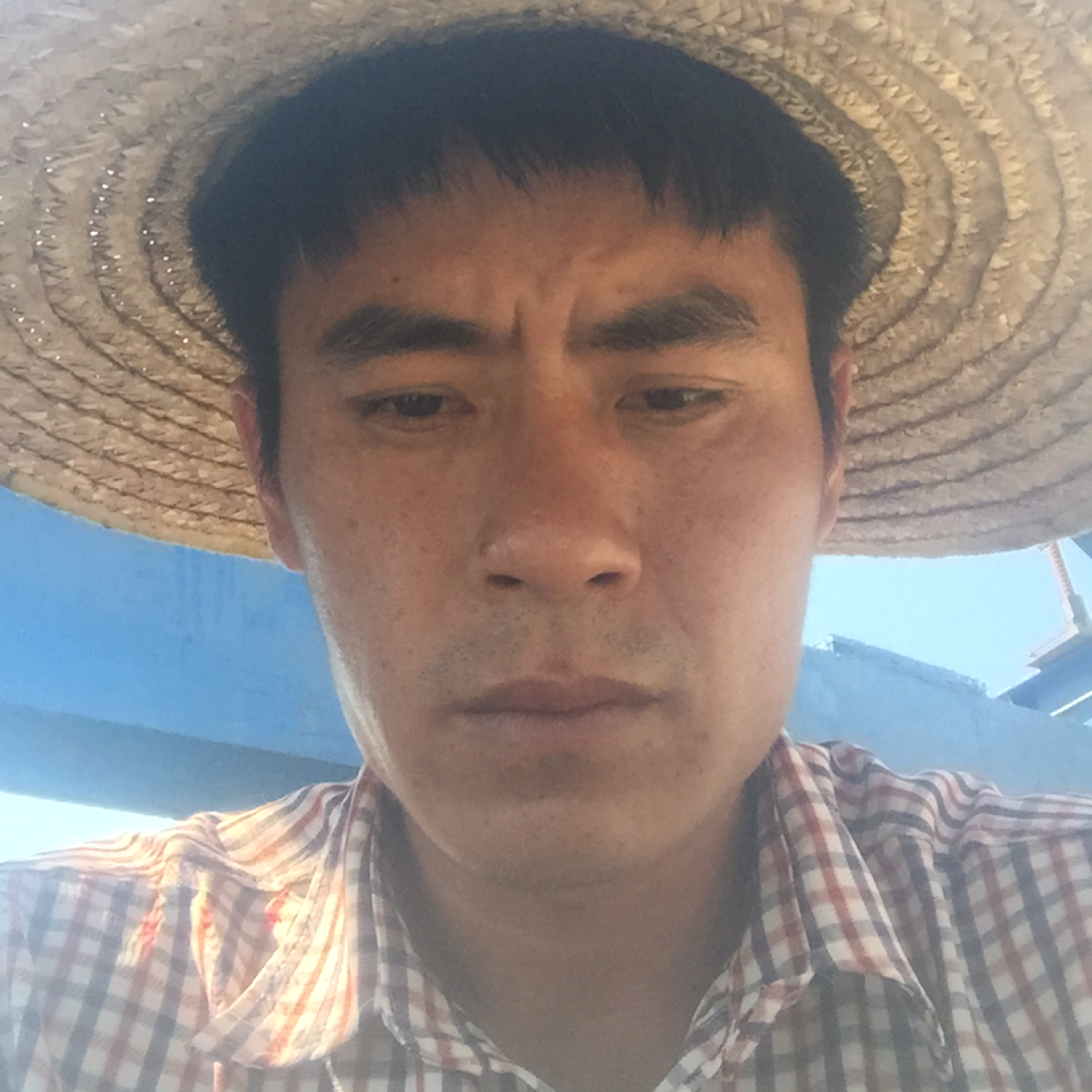 龙魂睡觉的照片
