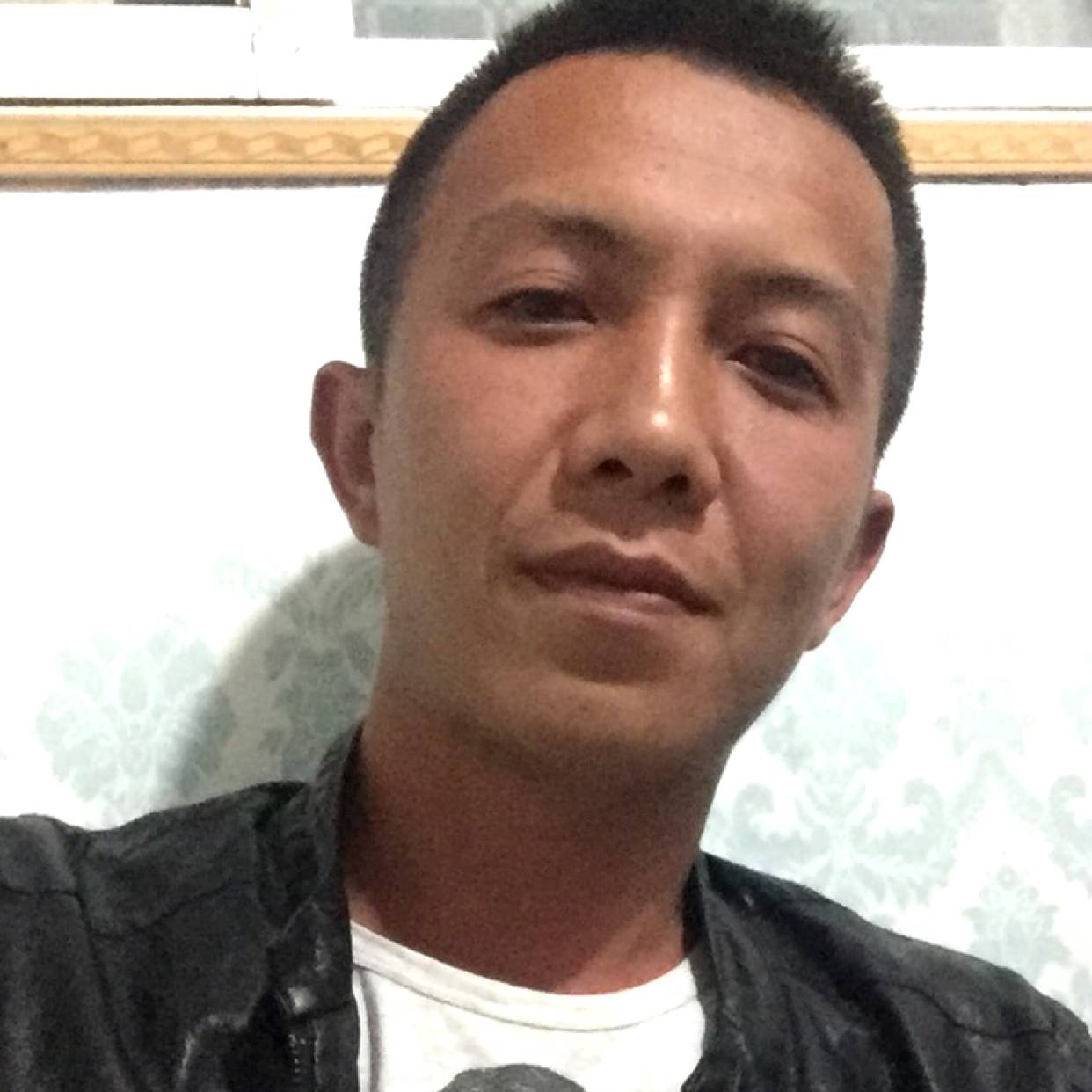 大树相许高贵的照片
