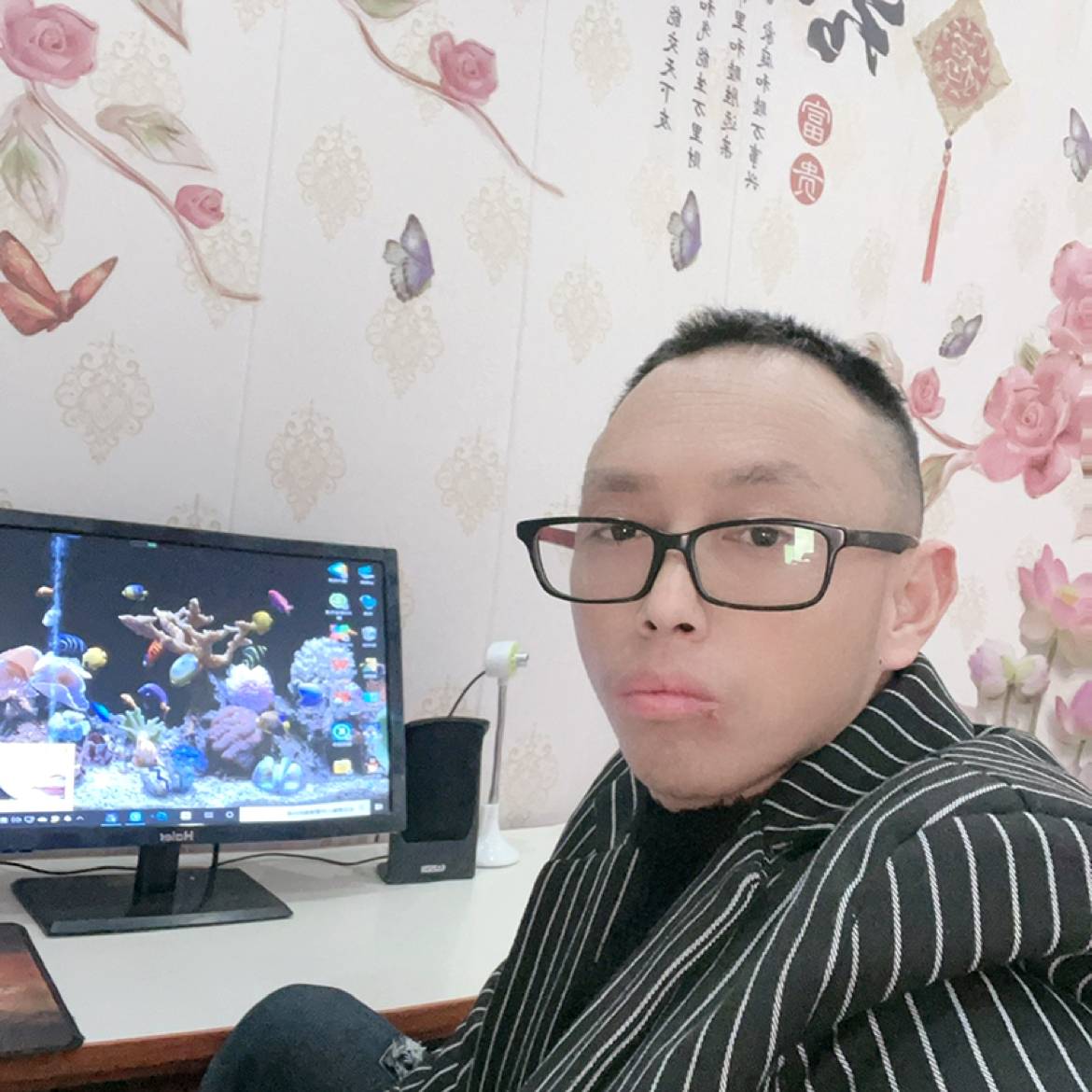 小白菜爱拼搏的照片