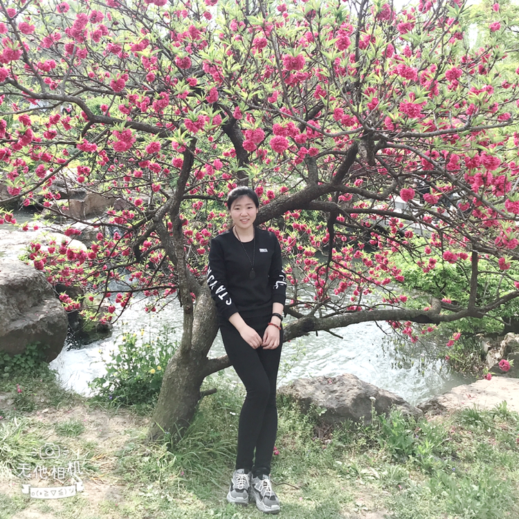 杨小画的照片