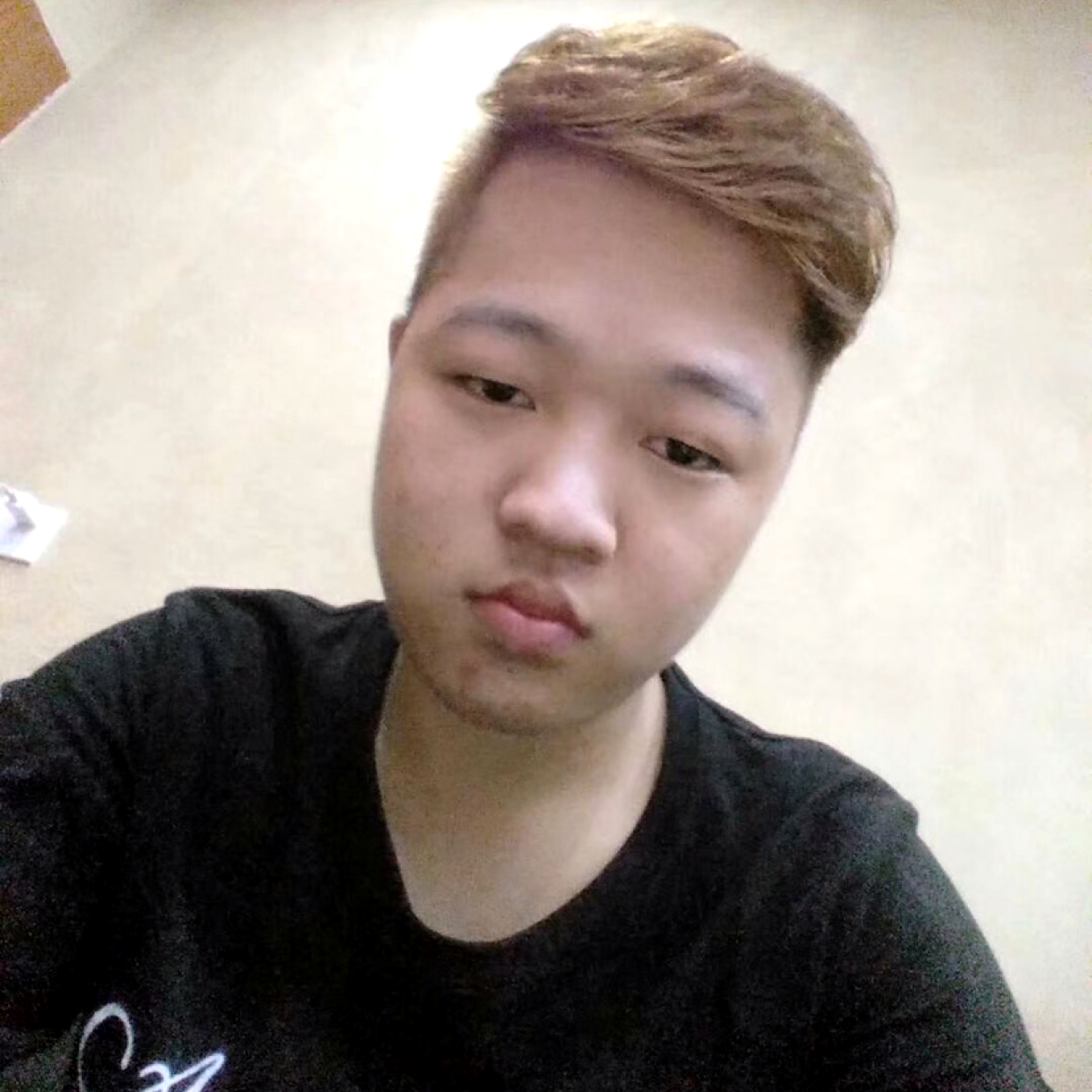 机智拾忆洋葱的照片
