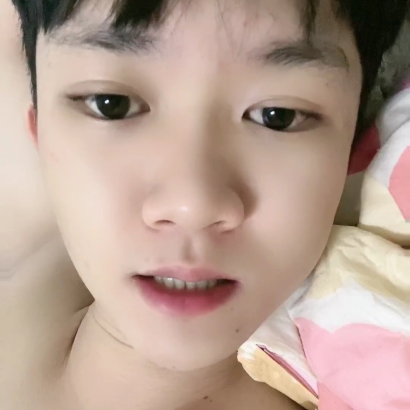 蛋挞回眸轻松的照片