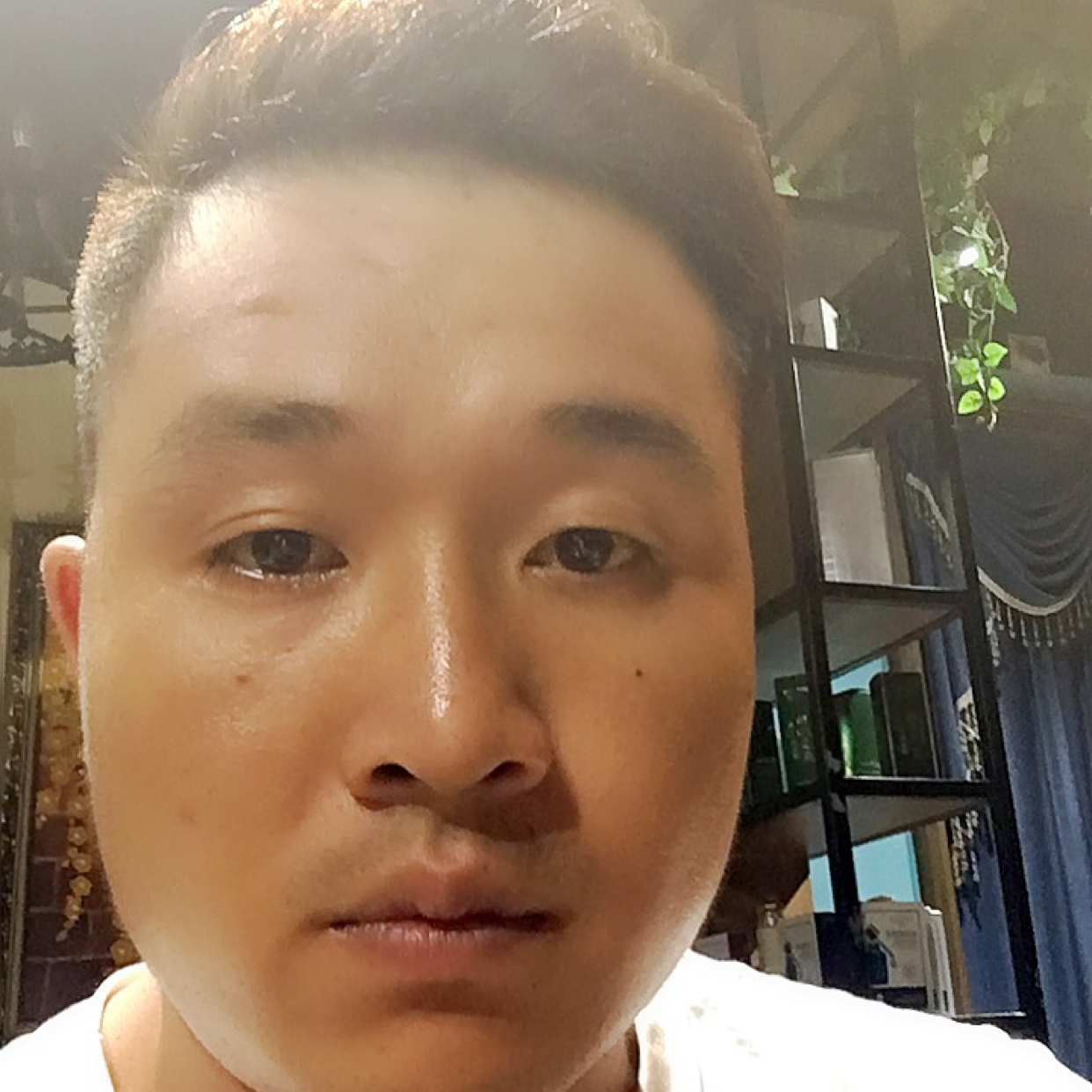 害怕的夏天的照片