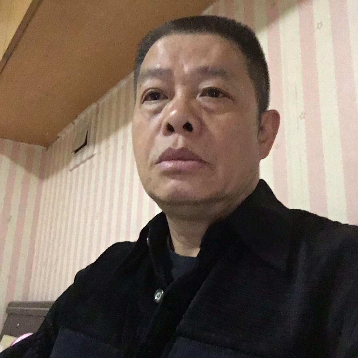 一夜。方舟的照片